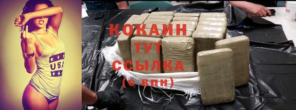 соль ск Богданович