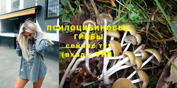 кокс Богородицк